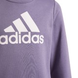 adidas Sportswear BIG LOGO SWEATSHIRT Μωβ