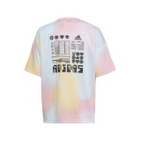 Παιδική Κοντομάνικη Μπλούζα adidas Performance U ARKD3 TEE Πολύχρωμο HU1788  Εικόνα 0