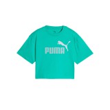 PUMA ESS 2 COLOR NO. 1 LOGO  SHORT LENGTH TEE G 686071-59 Alcohol Image 