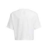 adidas Originals GRAPHIC PRINT CROP T-SHIRT GN2240 White Image 0