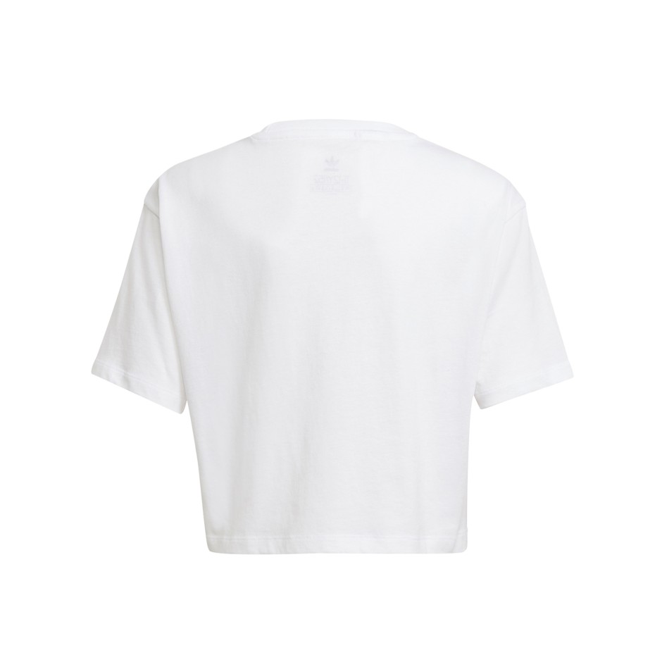 adidas Originals GRAPHIC PRINT CROP T-SHIRT GN2240 White