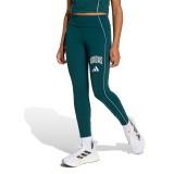 Παιδικό Κολάν Κυπαρισσί - adidas Sportswear Essentials Collegiate Εικόνα 