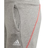 adidas Performance G BOLD PANT GE0060 Grey