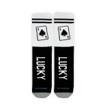 BEE UNUSUAL INK. S.E. LUCKY AS-9989-WHITE Λευκό Εικόνα 