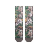 STANCE XTRA A555A23XTR-CAM Colorful