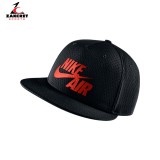 NIKE AIR PIVOT TRUE 729497-011 Black Image 