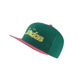 JORDAN PRO SCRIPT CAP AV8448-340 Green