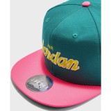 JORDAN PRO SCRIPT CAP AV8448-340 Πράσινο