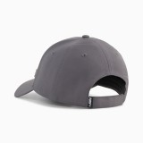 Καπέλο Γκρι - PUMA Essentials Metal Cat Εικόνα 0