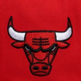 Cap NBA Red - Mitchell & Ness Chicago Bulls Head Coach Pro Image 1