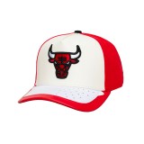 Καπέλο NBA Πολύχρωμο - Mitchell & Ness Chicago Bulls Day One Pro Pinch Snapback Εικόνα 