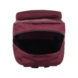 VANS OLD SKOOL FLYNING V BACKPACK VN00103A4QU-4QU Βordeaux Image 2