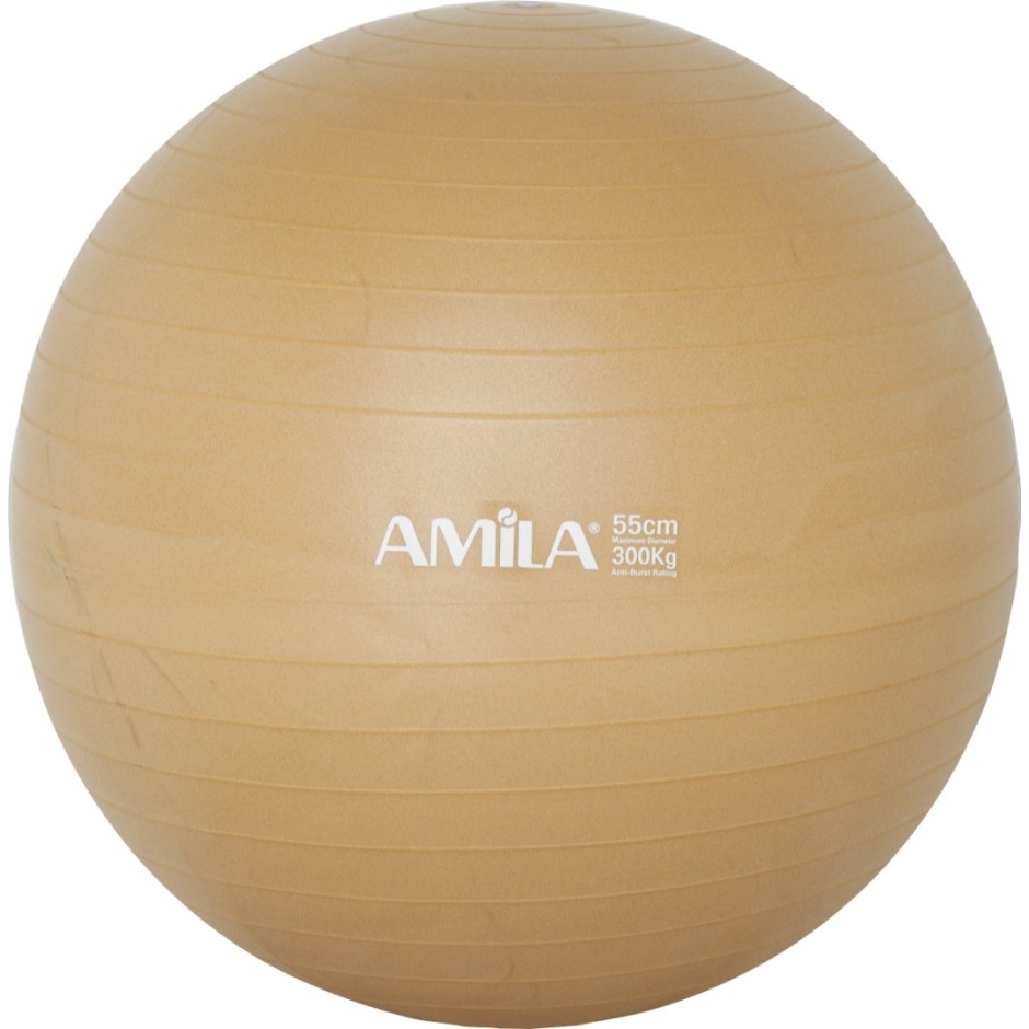 AMILA ΜΠΑΛΑ ΓΥΜΝΑΣΤΙΚΗΣ 55cm 950gr-ΡΟΖ -ΣΕ ΧΡΩΜ.ΚΟΥΤΙ 48410 Ροζ
