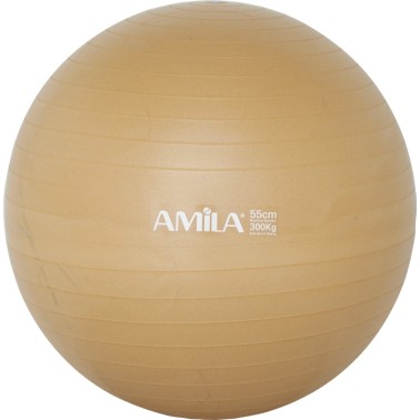 Gym Ball Pink - Amila