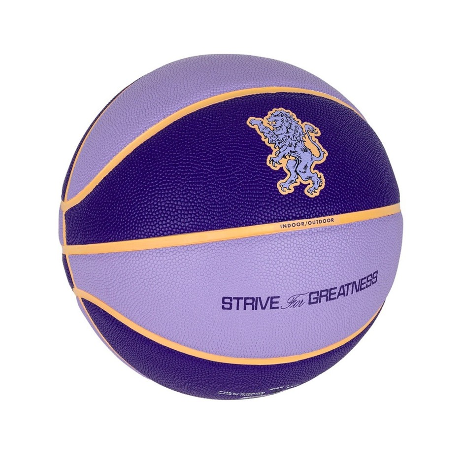 NIKE ALL COURT 8P 2.0 L JAMES DEFLATED N.100.4368-509 Purple