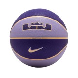 NIKE ALL COURT 8P 2.0 L JAMES DEFLATED N.100.4368-509 Purple Image 