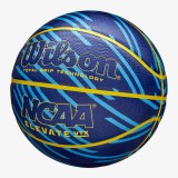 WILSON NBA PLAYER ICON - OUTDOOR - SIZE 7  CURRY WZ4006101XB7 Royal Blue Image 0