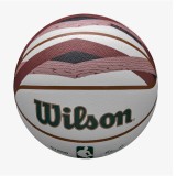 WILSON 2023 NBA TEAM CITY COLLECTOR BOS CELTI 7 WZ4024102XB7 One Color