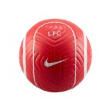 NIKE LIVERPOOL FC STRIK DJ9961-657 Red Image 0