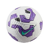 NIKE FA ENGLAND ACCREDITED ACADEMY FZ2634-100 White Image 