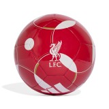 Μπάλα Ποδοσφαίρου Πολύχρωμη - adidas Performance Liverpool FC Home Club Εικόνα 0