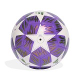 Μπάλα Ποδοσφαίρου Πολύχρωμη - adidas Performance UEFA Champions League Final Training Εικόνα 0