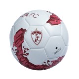 Μπάλα Ποδοσφαίρου Λευκή - AEL FC Εικόνα 0