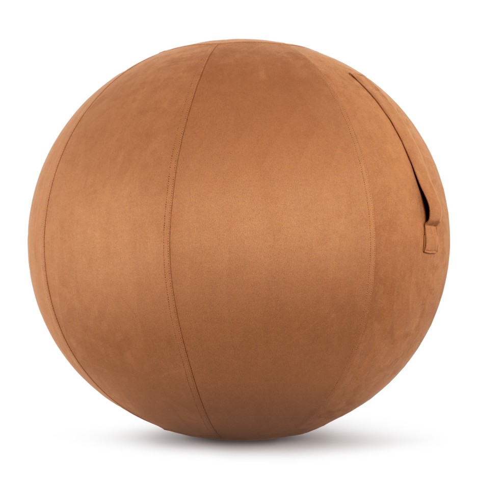 Gym Ball Cover - Amila 65cm