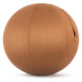 Gym Ball Cover - Amila 75cm Image 