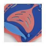 SPEEDO POWER PADDLE 73156-F959U Colorful Image 2