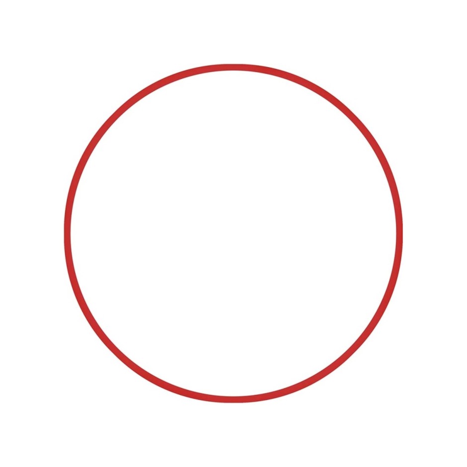 AMILA 19MM-80CM VINEX 98817 Red