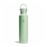 HYDRO FLASK 21 OZ (621 ml) STANDARD FLEX CAP ALOE S21CSX338-ALOE Veraman Image 