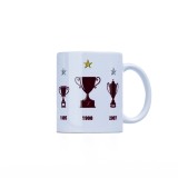 Κούπα Λευκή - AEL FC Trophies Εικόνα 0