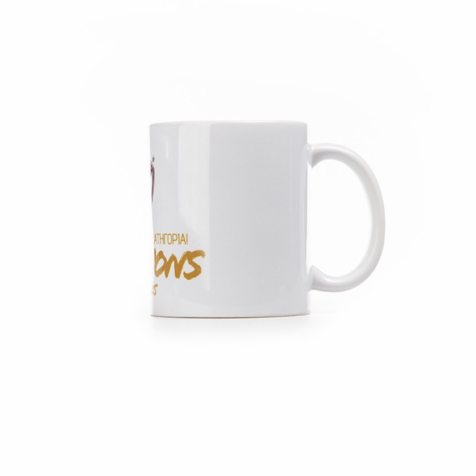 Κούπα Λευκή - AEL FC Champions