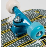 SKATEBOARD ATHLOPAIDIA 001.4001 Colorful Image 1