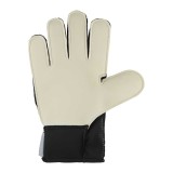NIKE MATCH GOALKEEPER GS3370-095 Silver Image 0