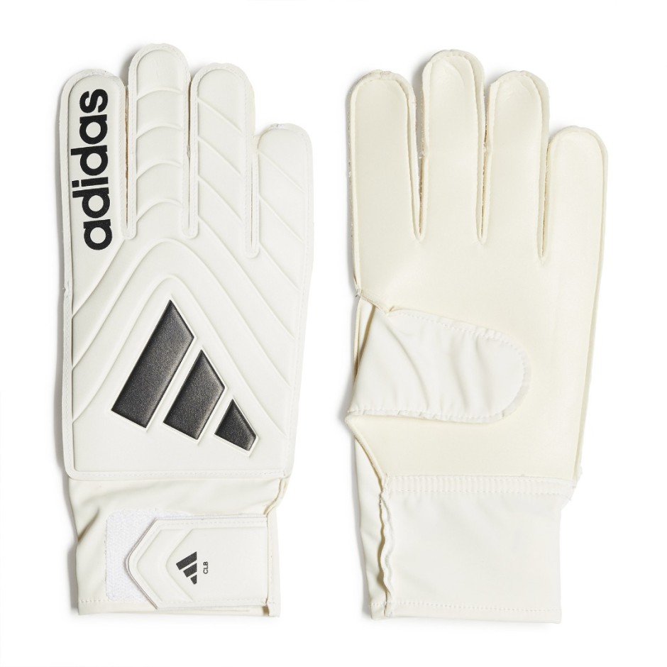 adidas Performance COPA GL CLB IQ4016 Ecru