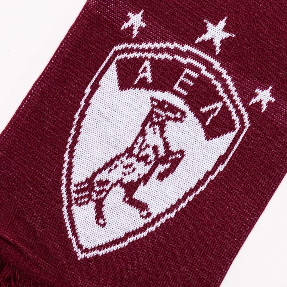 AEL FC 125MSC-2022-CRIMSON Crimson