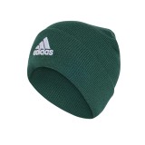 adidas Performance LOGO BEANIE CUF IY7831 Green Image 
