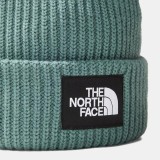 THE NORTH FACE SALTY DOG BEANIE NF0A3FJWI0F1-I0F Veraman Image 0