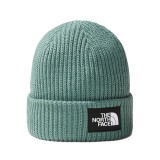 THE NORTH FACE SALTY DOG BEANIE NF0A3FJWI0F1-I0F Veraman Image 