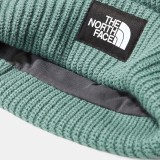 THE NORTH FACE SALTY DOG BEANIE NF0A3FJWI0F1-I0F Veraman Image 1