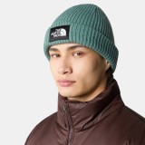 THE NORTH FACE SALTY DOG BEANIE NF0A3FJWI0F1-I0F Veraman Image 2