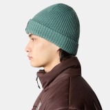 THE NORTH FACE SALTY DOG BEANIE NF0A3FJWI0F1-I0F Veraman Image 3