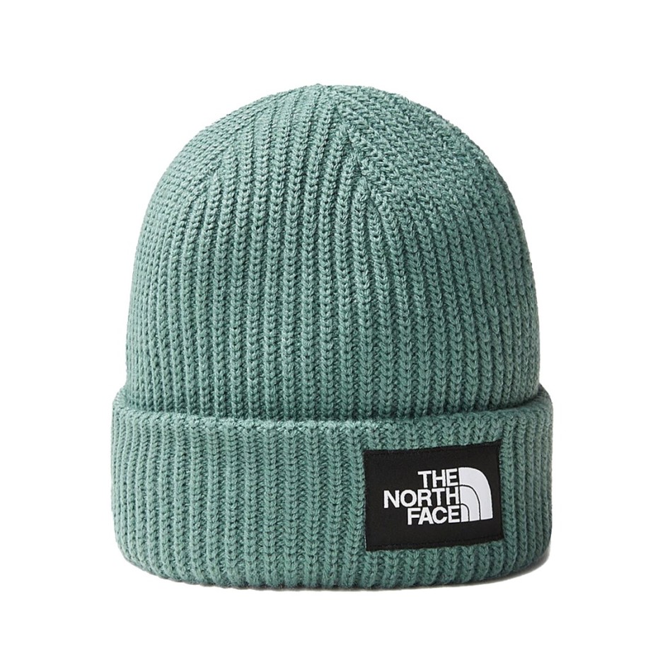 THE NORTH FACE SALTY DOG BEANIE NF0A3FJWI0F1-I0F Veraman