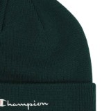 CHAMPION 806064-GS502 Pine Image 1