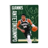 NBA BUCKS ANTETOKOUNMPO 378-07440-ANTETOKOUNMPO Green Image 