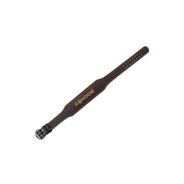 Weightlifting Belt Brown - Amila C Quality Medium