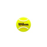 Αντικραδασμικά Ρακέτας Πολύχρωμα - Wilson Roland Garos Tennis Ball Εικόνα 0