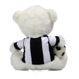 KALAMATA FC ΑΡΚΟΥΔΑΚΙ 20CM ΕΜΦΑΝΙΣΗ ΚΛΜ5250-JERSEY One Color Image 0